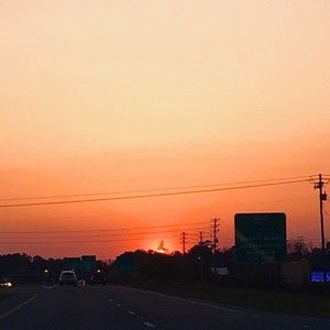 Meet your Posher, Alannah